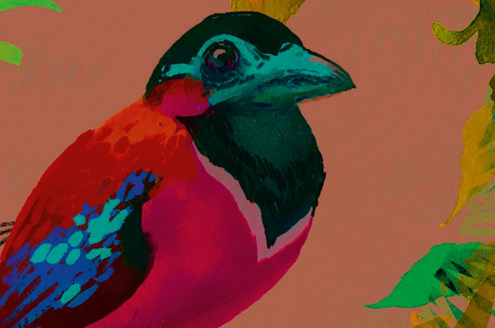 Tier, Schnabel, Vogel, Fink, Kunst