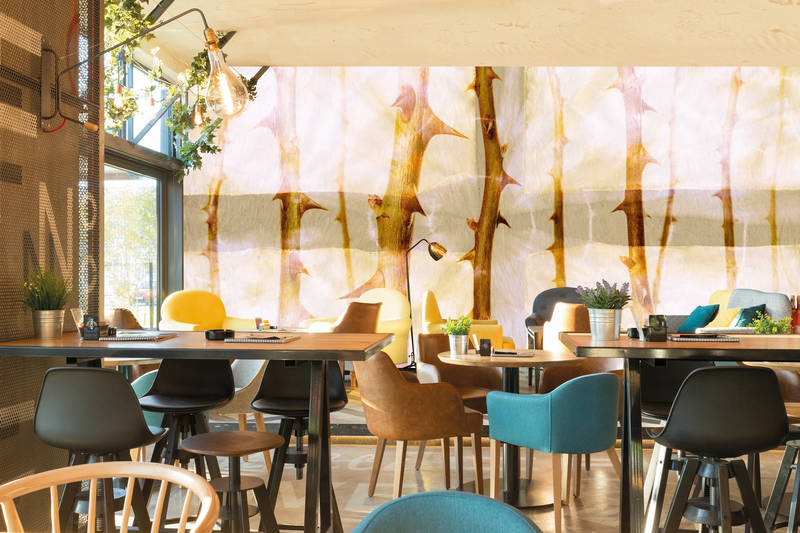 Drinnen, Restaurant, Cafeteria, Innenarchitektur, Café