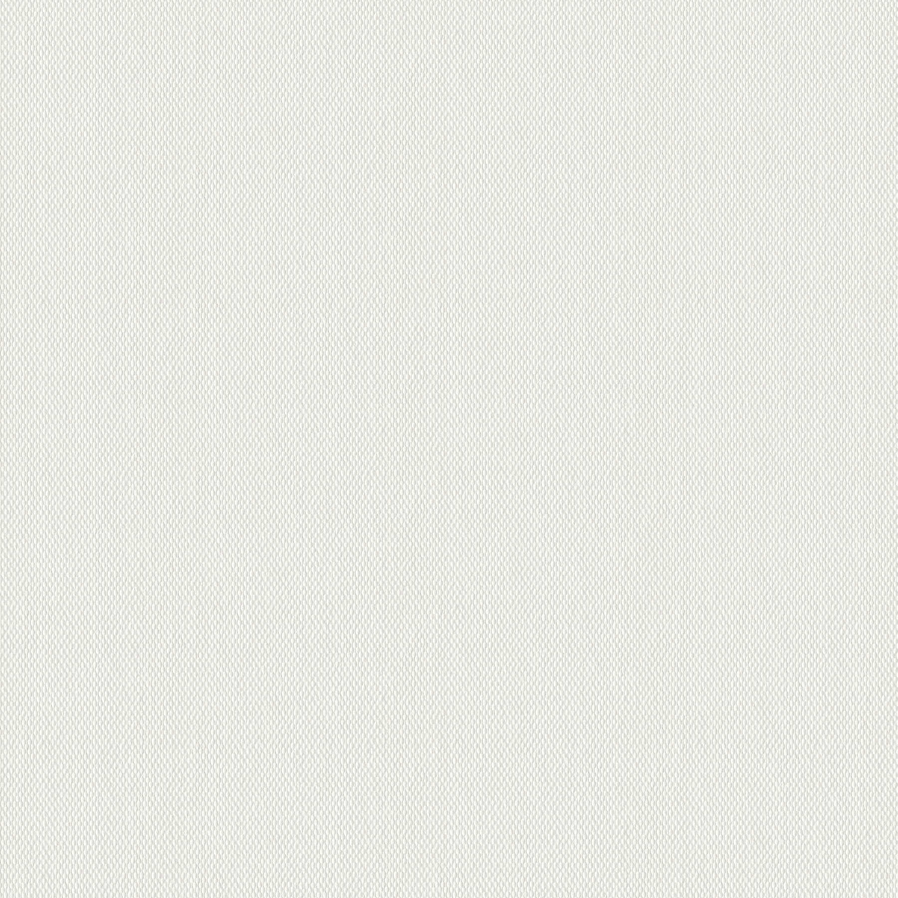         A.S. Création Behang Glasdekogewebe
    