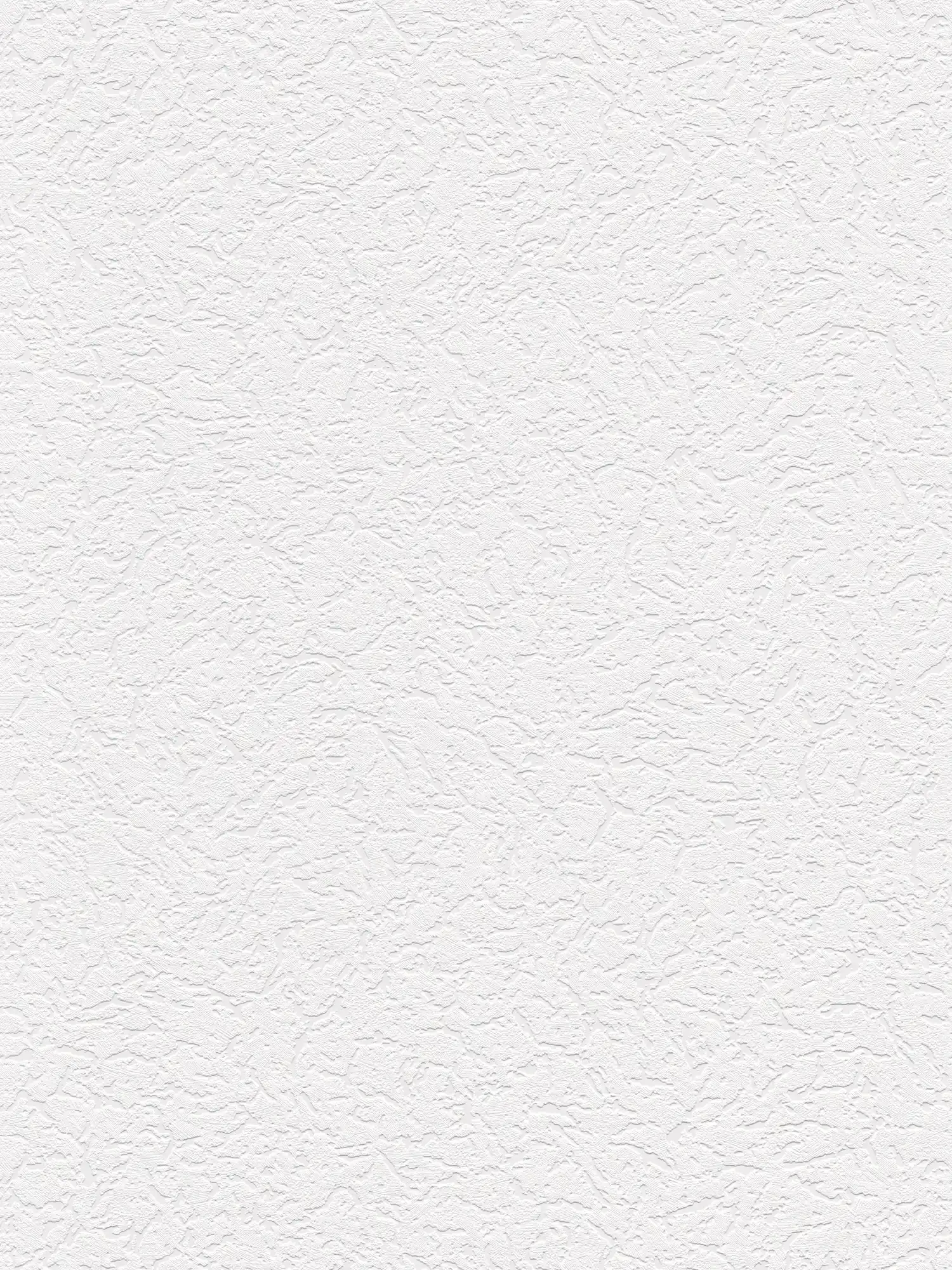         Rough plaster wallpaper with texture pattern classic design - white
    
