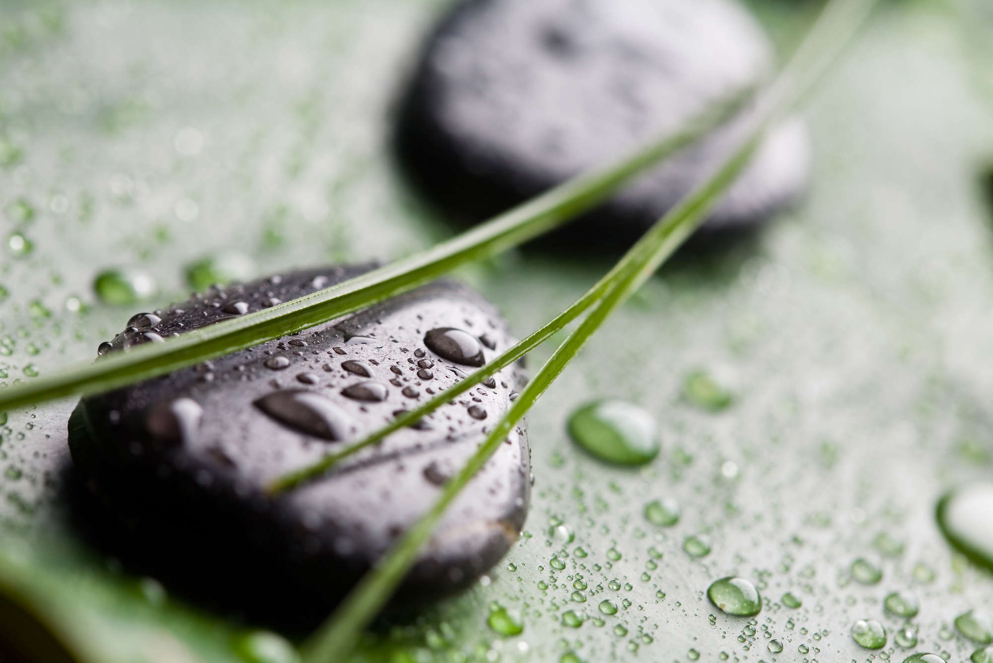             Blades of Grass with Wellness Stones Wallpaper - Premium Smooth Non-woven
        