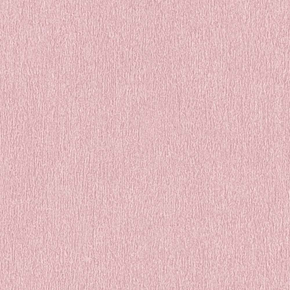 Rosa Tapete unifarben mit Farbschraffur