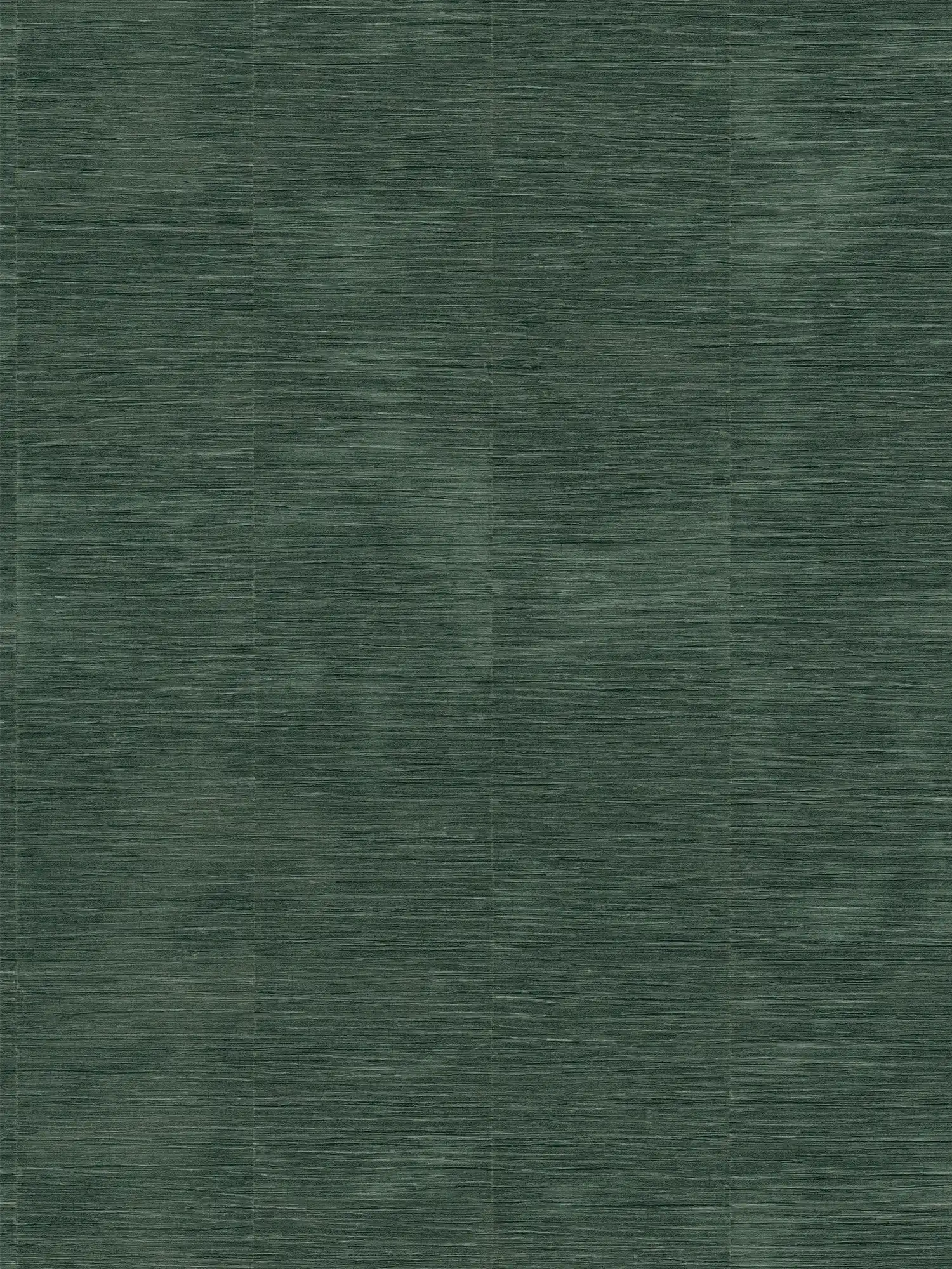         Daniel Hechter textured non-woven wallpaper in an abstract bamboo look - green
    