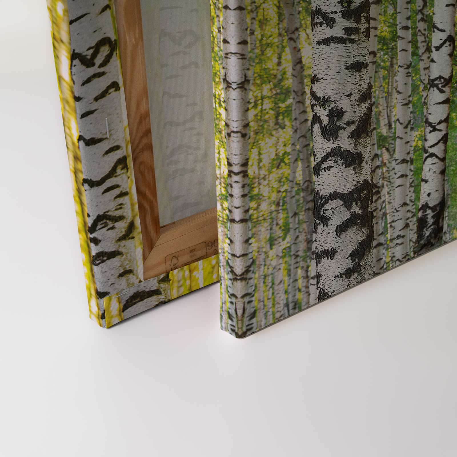             Birkenwald Leinwandbild Baumstamm Motiv – 0,90 m x 0,60 m
        