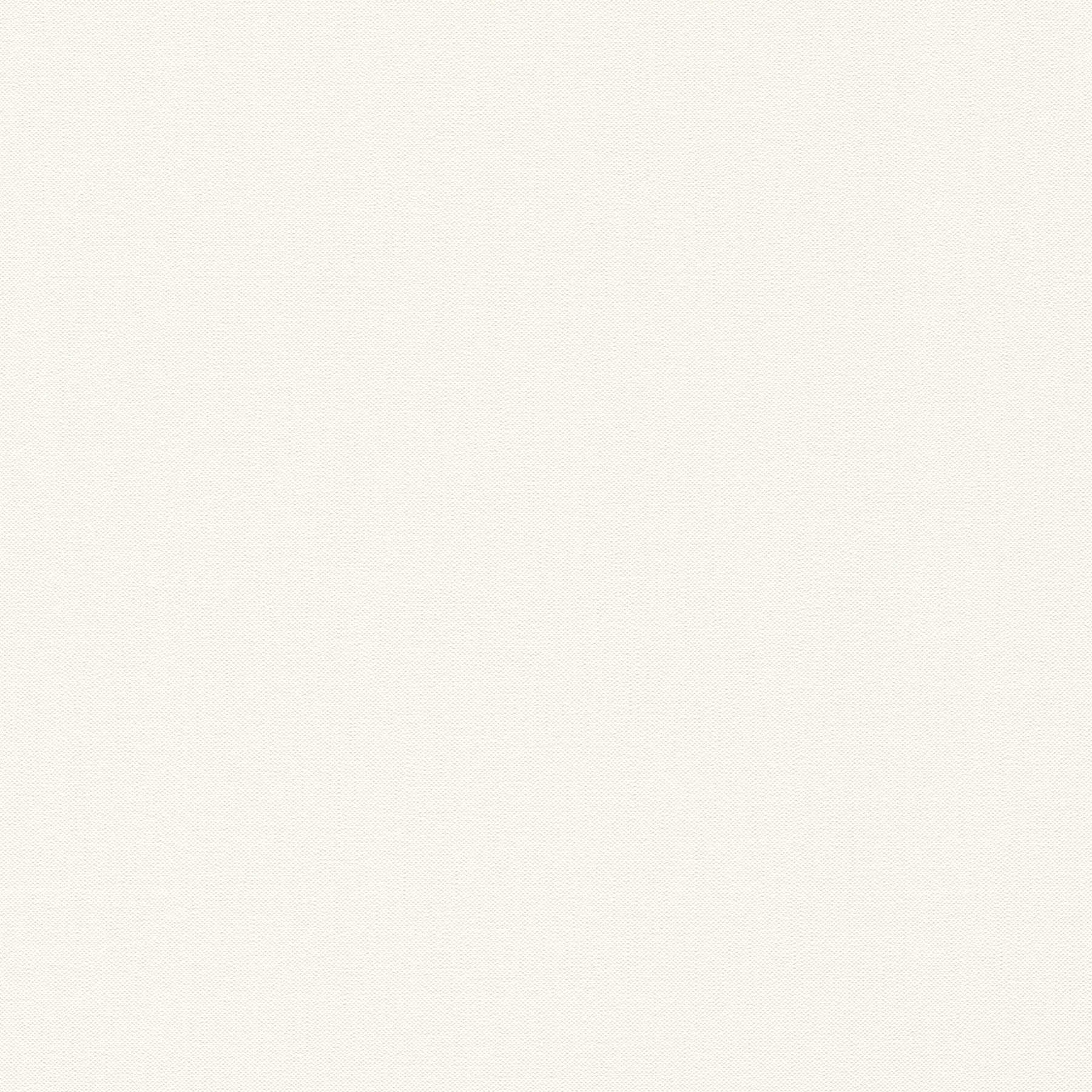 textured, beige, Gewebemuster, Leinwand, einfarbig