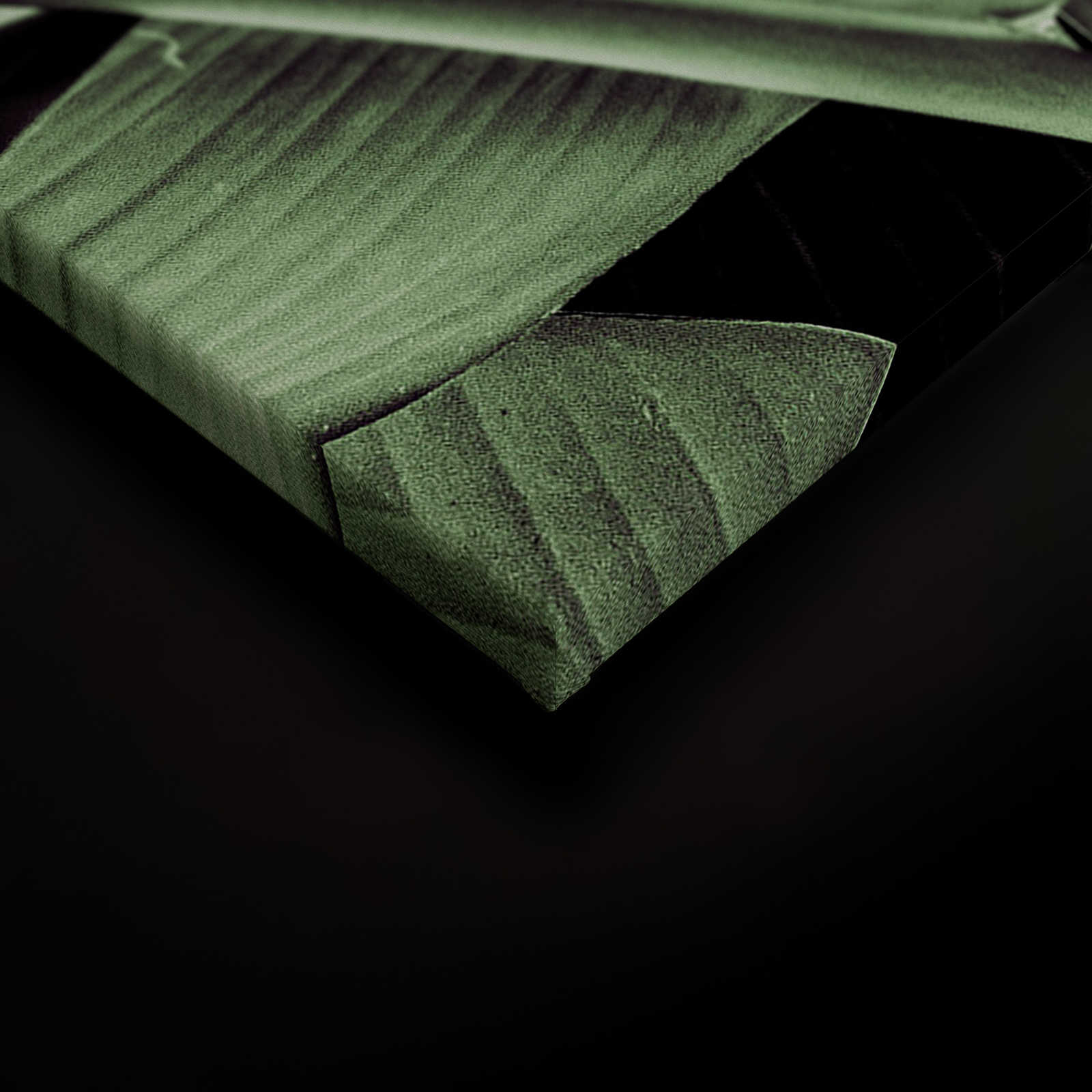             Leinwandbild Detailaufnahme von Palmenblättern – 0,90 m x 0,60 m
        