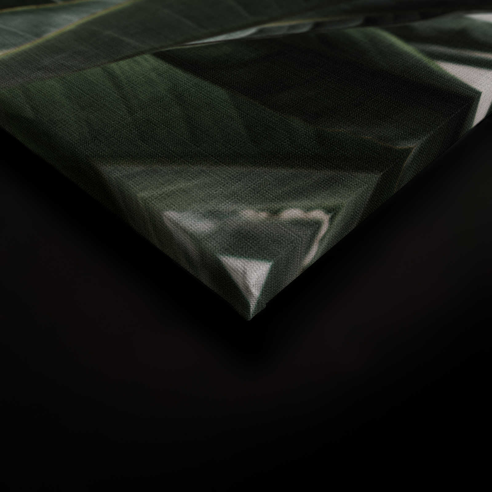             Urban jungle 2 - Palmenblätter Leinwandbild, naturleinen Struktur exotische Pflanzen – 0,90 m x 0,60 m
        