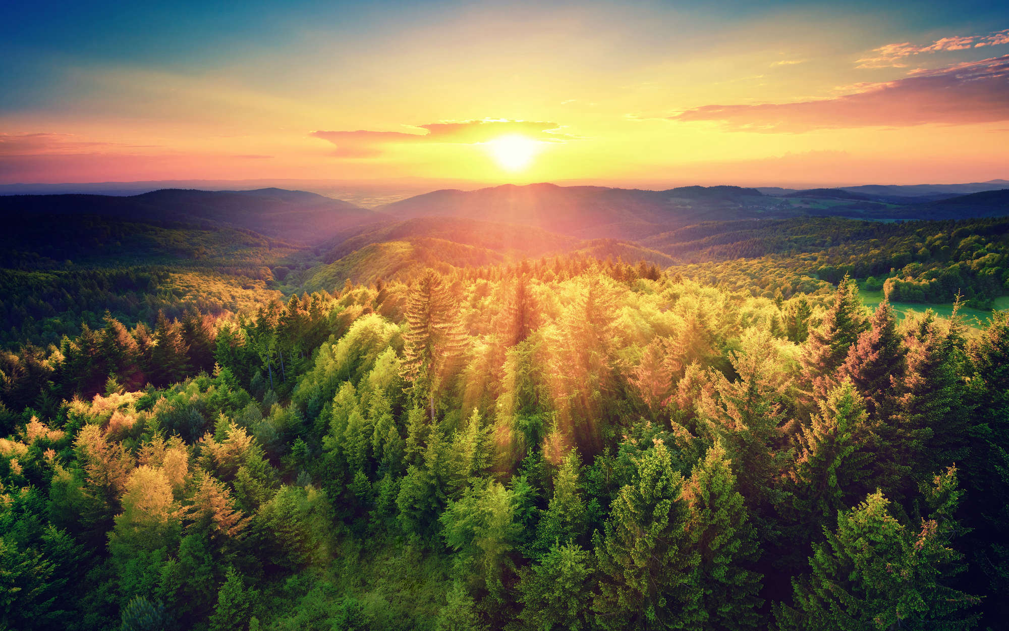 wald, sonnenuntergang, gebirge, tannen, naturlandschaft