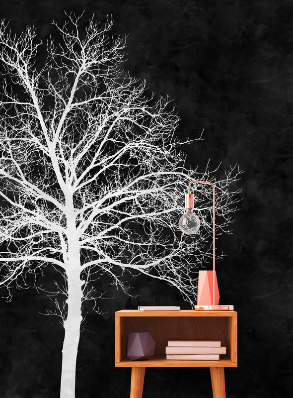 Schwarz-Weiß Fototapete weißer Baum – Weiß, Schwarz