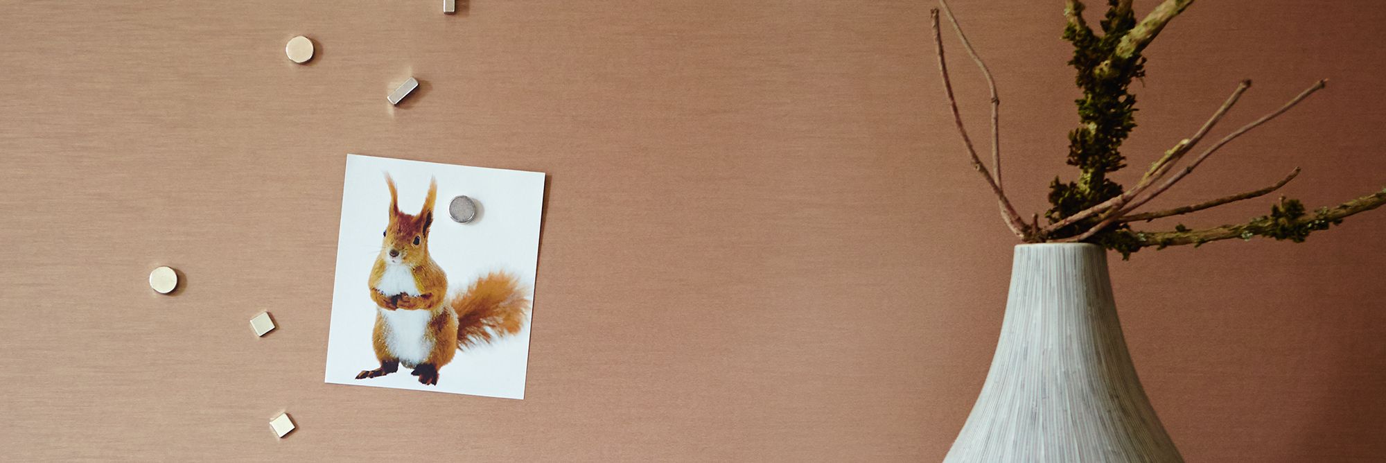 Teaserbild magnetische Tapeten