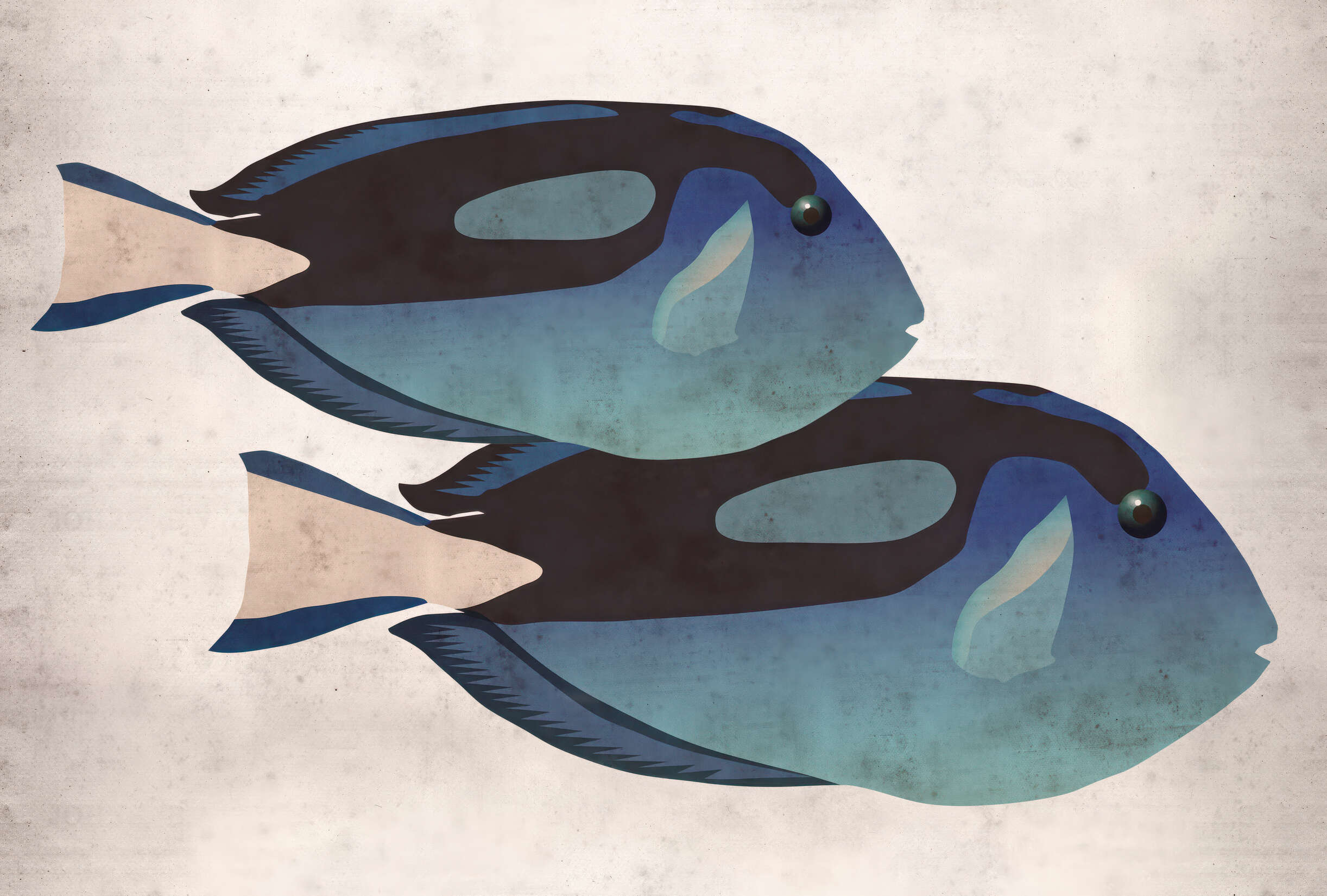 tropischer Fisch, blauer Fisch, Fischillustration, zwei Fische, Aquariendeko