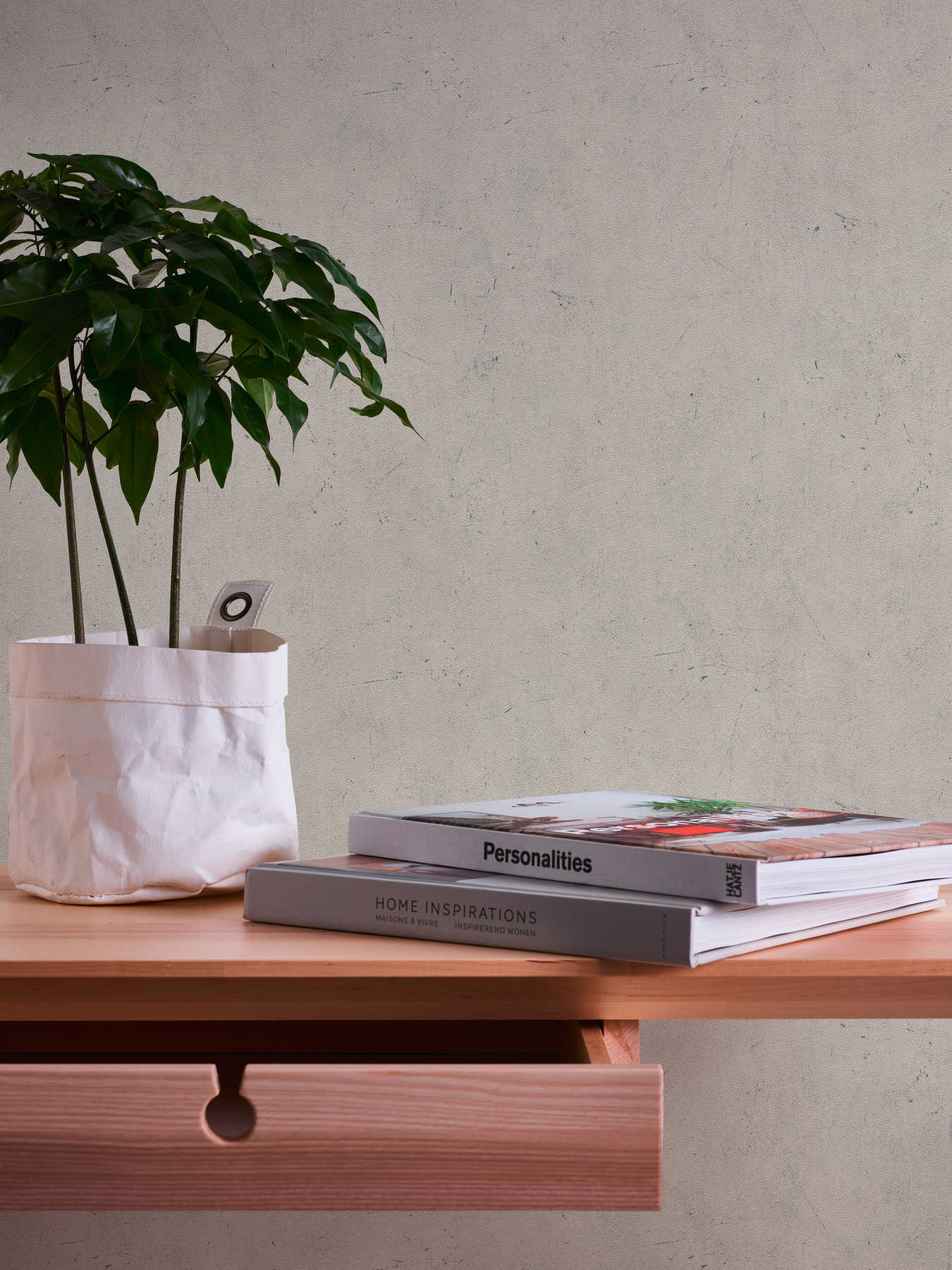 Vliestapete mit Scheibenputz-Optik &amp; Farbschraffur – Beige