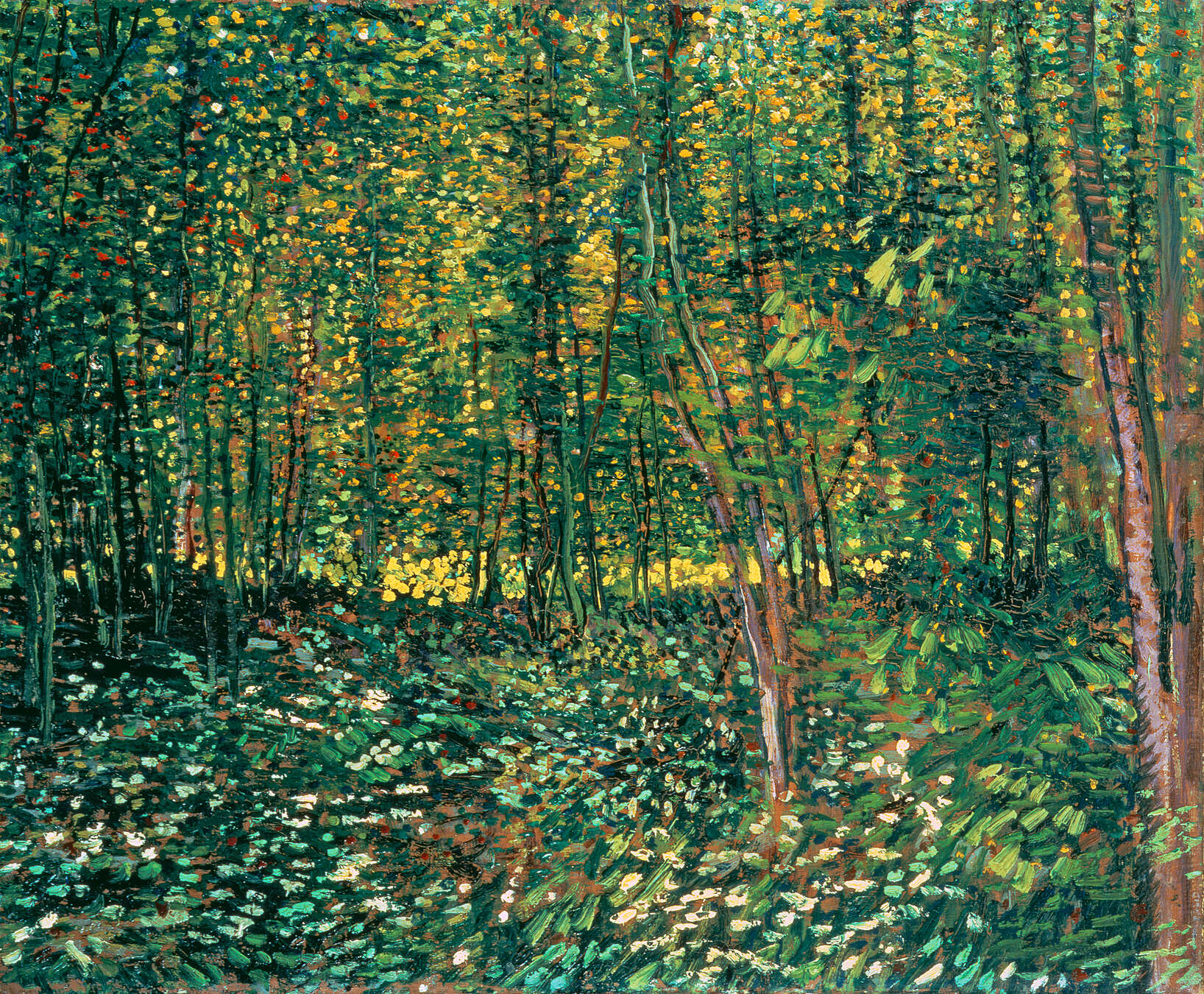 Wald, Wälder, blätterreich, laubgrün, Impressionismus