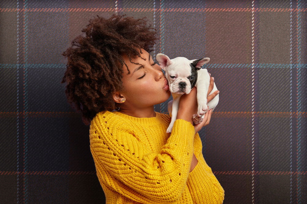 Hund, Welpe, Fotografie, Person, Portrait