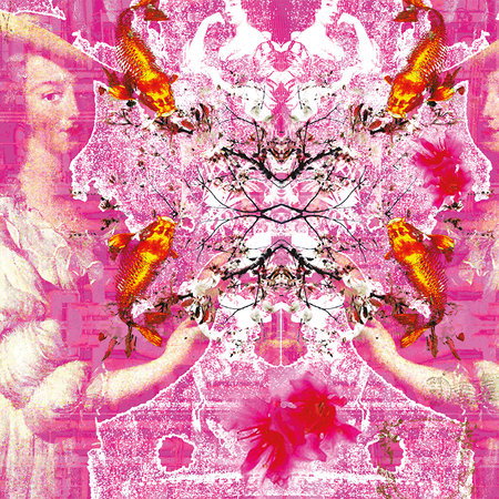 Collage, Pink, Vögel, Muster, Abstrakt