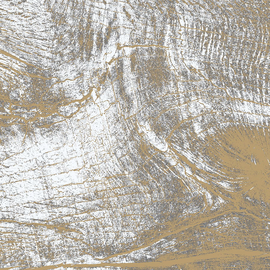         Fototapete "Rustic Elegance" – Stilvolle Maserung in harmonischen Erdtönen, fein – Weiß, Beige
    