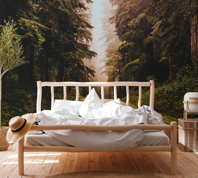             Fototapete American Highway im Wald – Braun, Grün, Grau
        