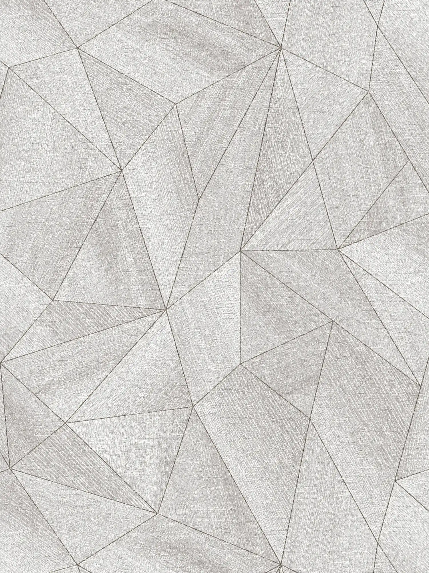 Daniel Hechter Moderne Vliestapete mit geografischem Muster und silbernen Akzenten – Grau, Metallic, Silber