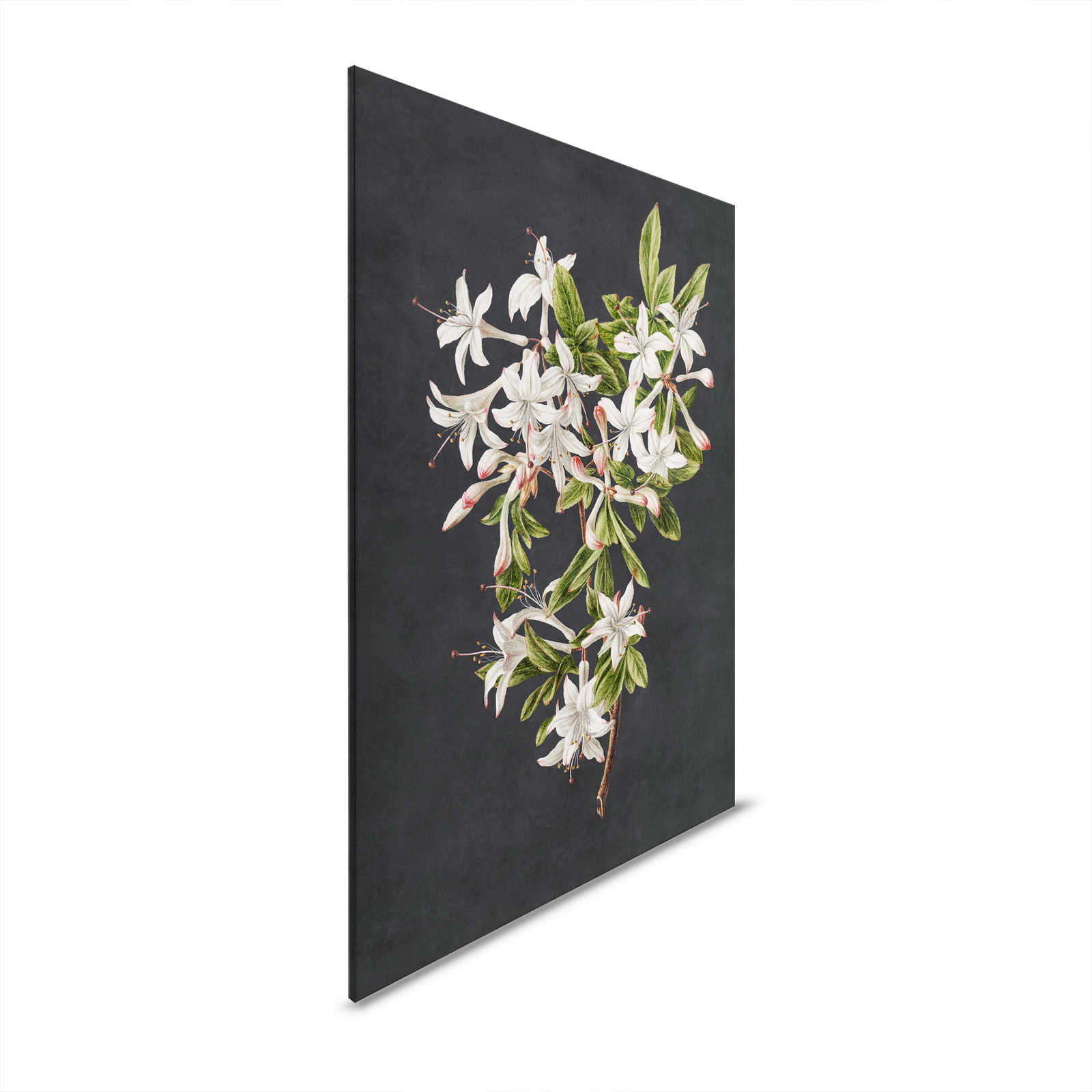         Midnight Garden 2 - Schwarzes Leinwandbild Blütenzweig weiße Blumen – 0,60 m x 0,90 m
    