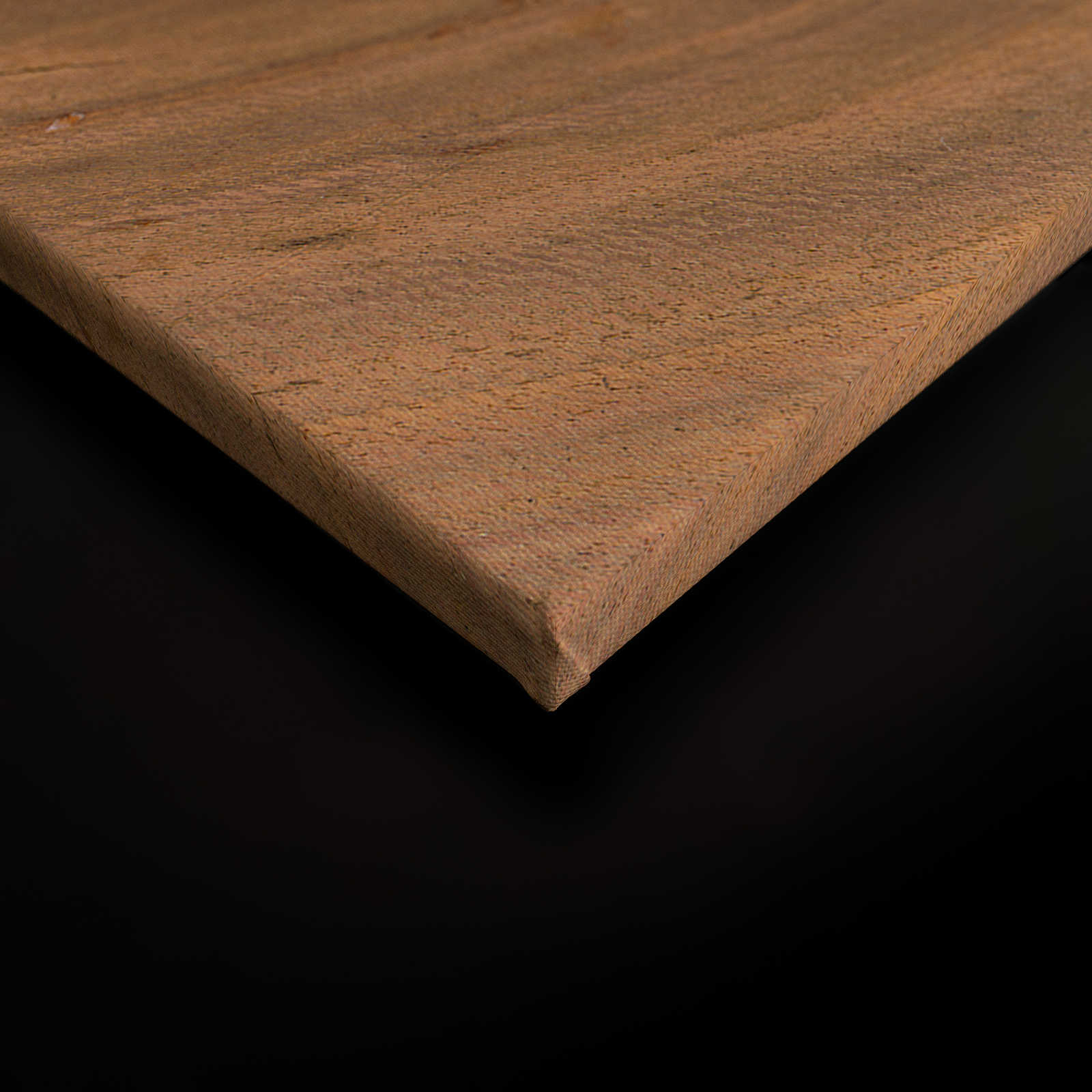             Leinwandbild Detailaufnahme von einem Baumstamm – 0,90 m x 0,60 m
        