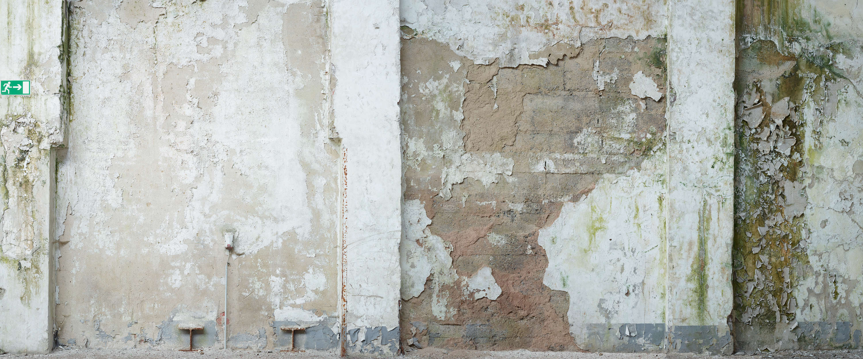 verwitterte Wand, abblätternde Farbe, verwitterter Beton, Moosflecken, industrielle Wand