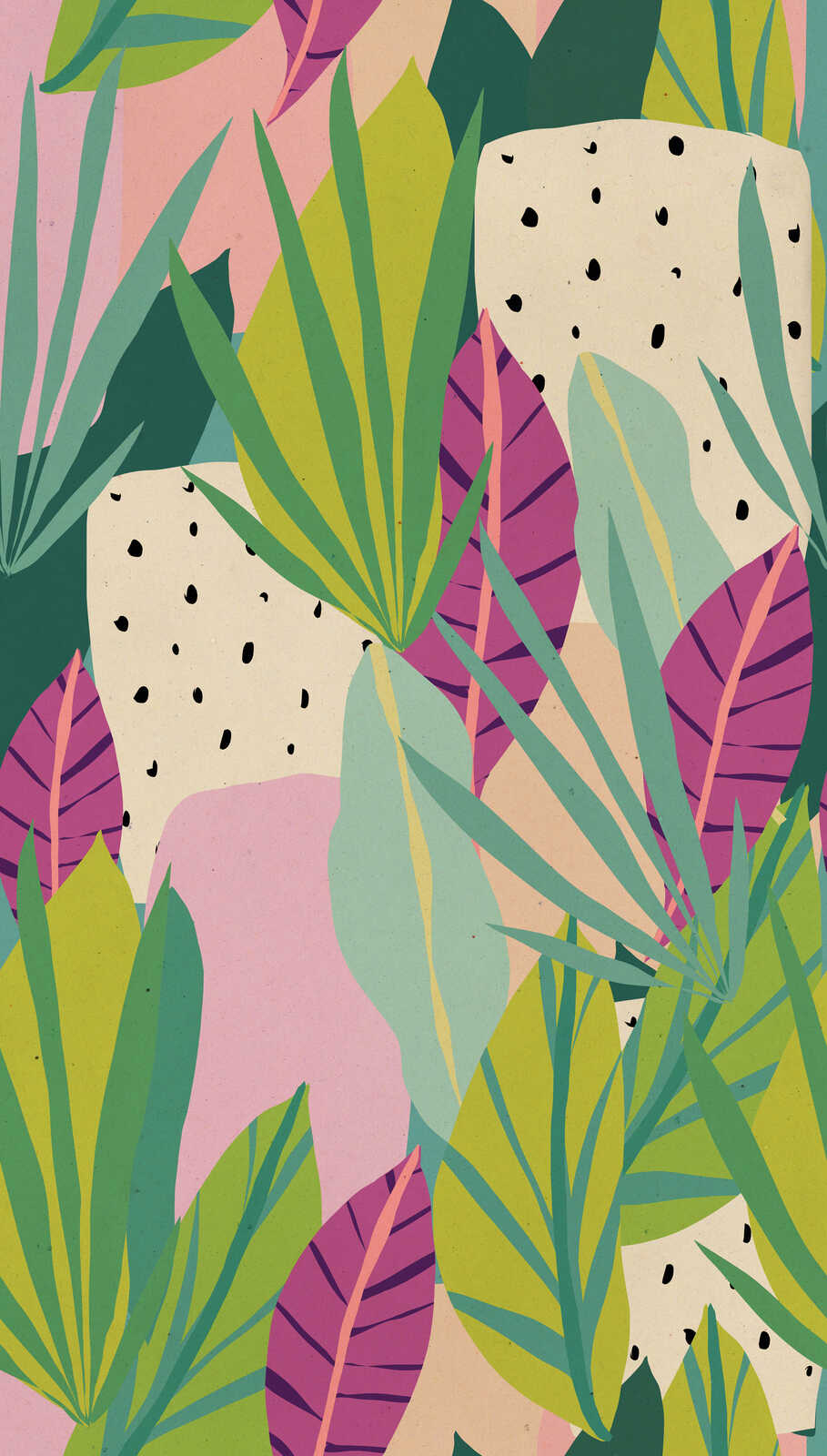 tropisch, pflanzen, blätter, dragon fruit, muster