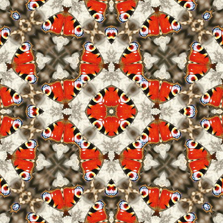         Muurschildering met vlinder & caleidoscoop effect
    