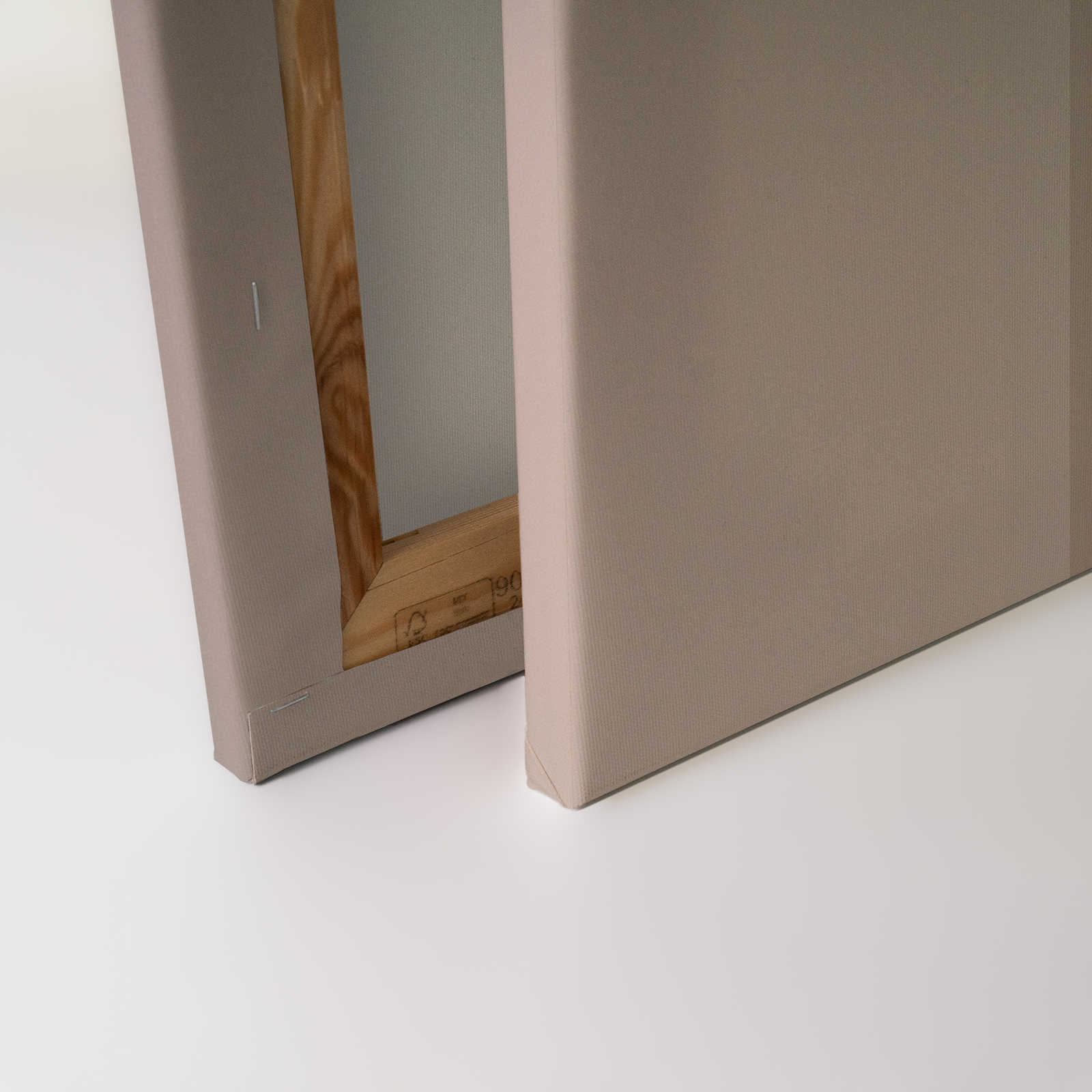 Behind the Wall 2 - 3D Leinwandbild Apricot mit Illusion Effekt – 0,90 m x 0,60 m