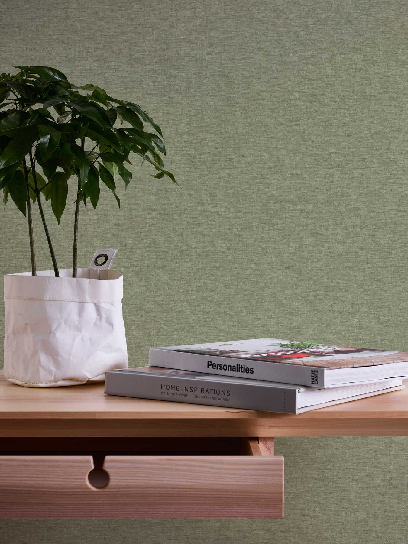 potted plant, grüne Pflanze, Tischdeko, Magazinstapel, Schublade