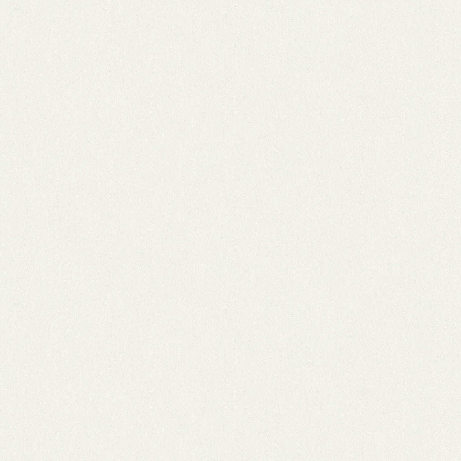         A.S. Création Behang Glasdekogewebe
    