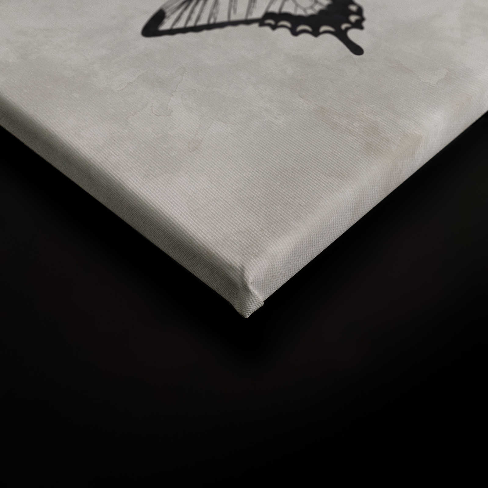             Schmetterling Leinwandbild Schwarz-Weiß Zeichnungen – 0,90 m x 0,60 m
        