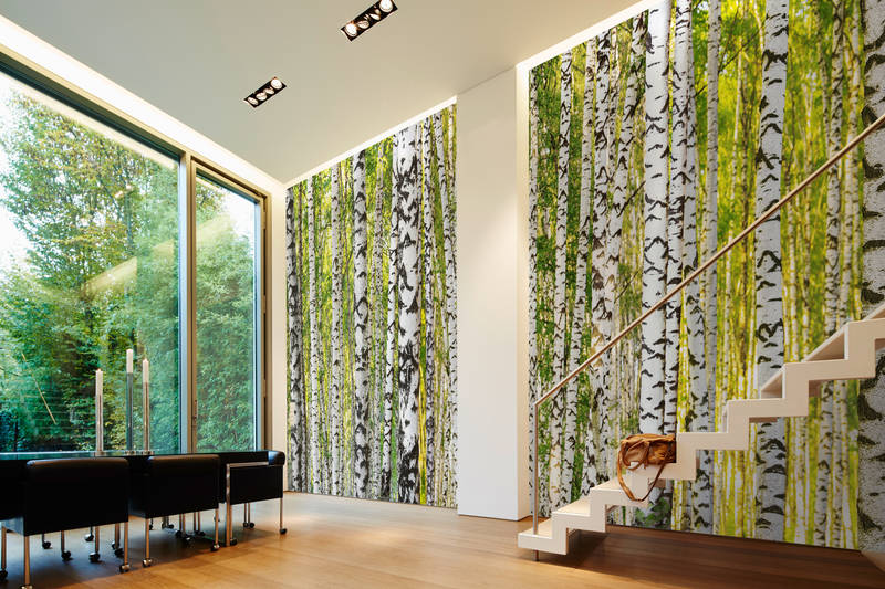 forest wallpaper, birch tree pattern, interior wall, staircase, modern interior