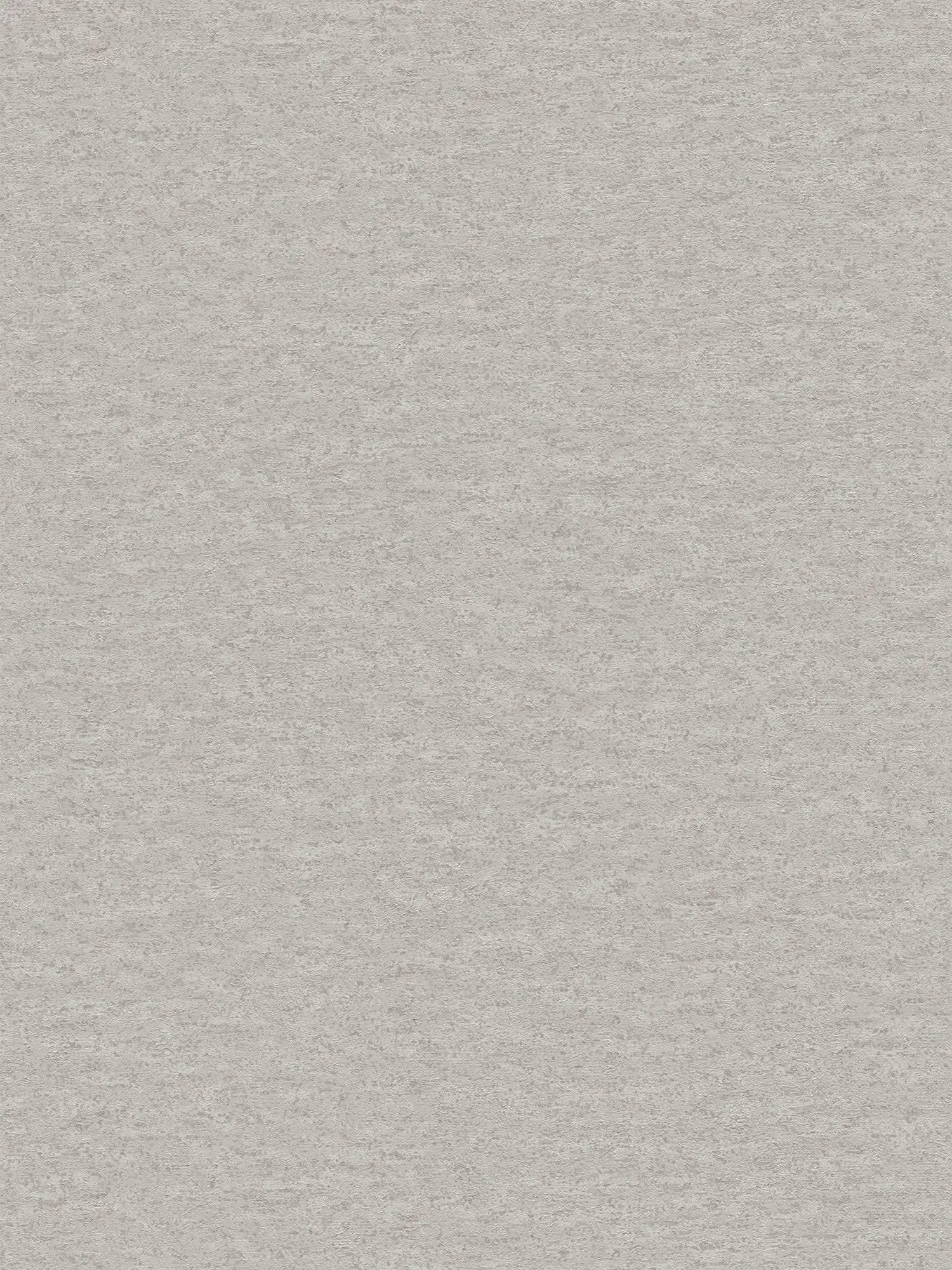         Daniel Hechter Strukturierte Vliestapete in Putzoptik – Grau
    