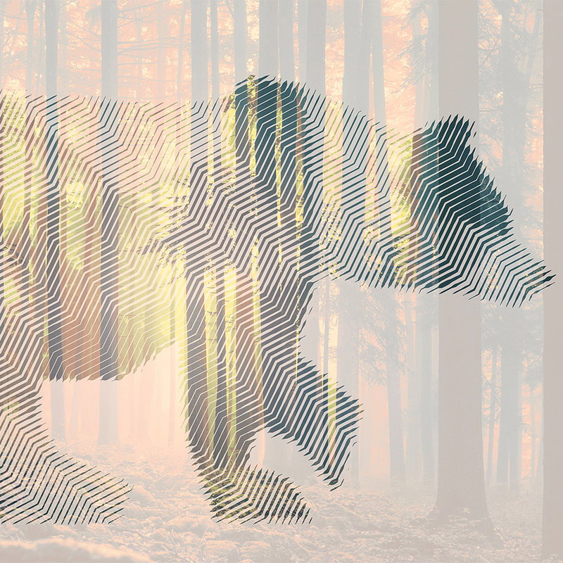 Draußen, Natur