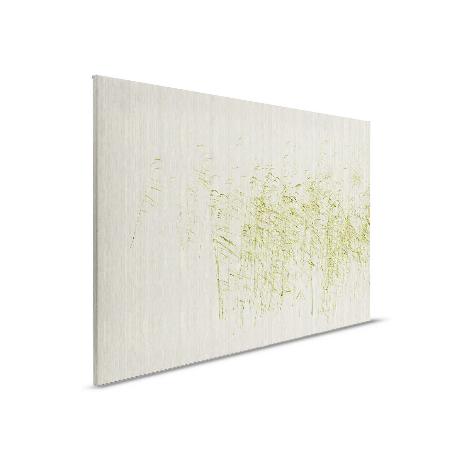         Aan de vijver 1 - Natuur Canvas schilderij groene rietstengels aan de vijver - 0,90 m x 0,60 m
    