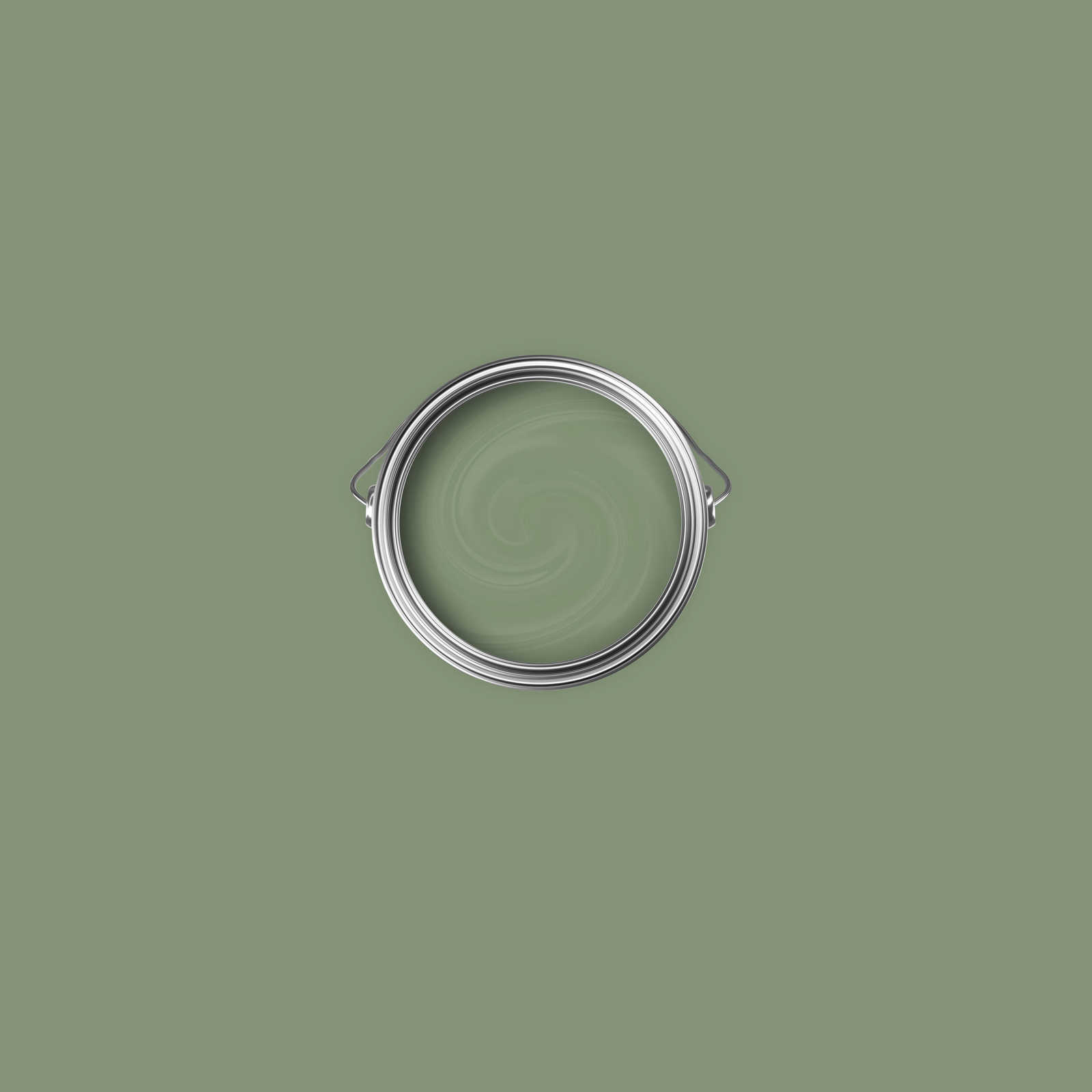             Premium Wandfarbe natürliches Olivgrün »Gorgeous Green« NW503 – 1 Liter
        
