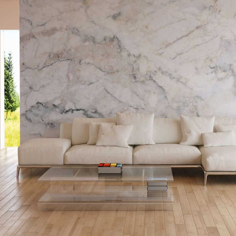 Sofa, Wohnzimmer, Sessel, Sesselgruppe, Glas-Tisch