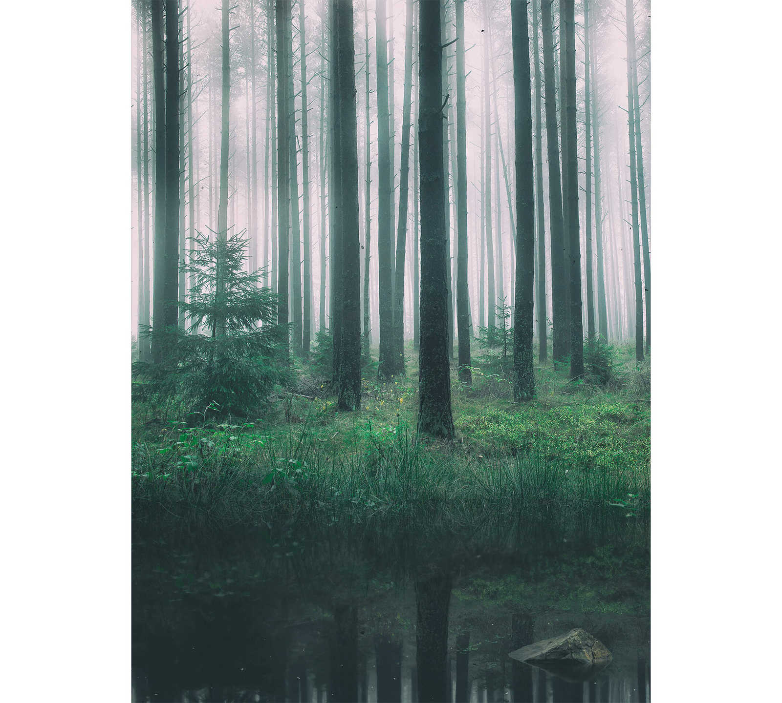         Muurschildering Bos met beekje
    