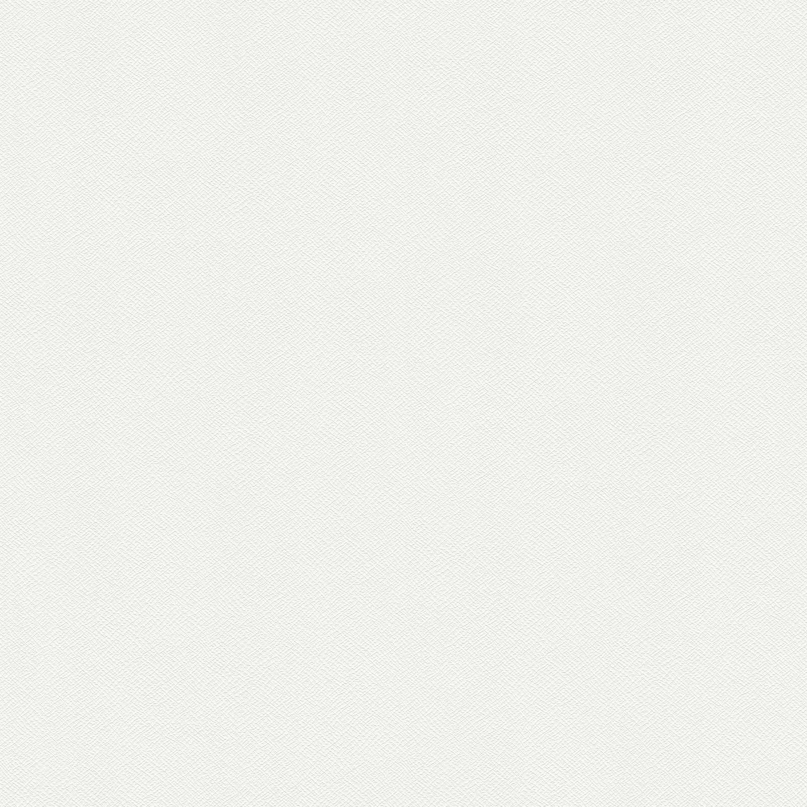        Strukturtapete zum überstreichen mit Schaumauftrag doppeltbreit – Weiß
    