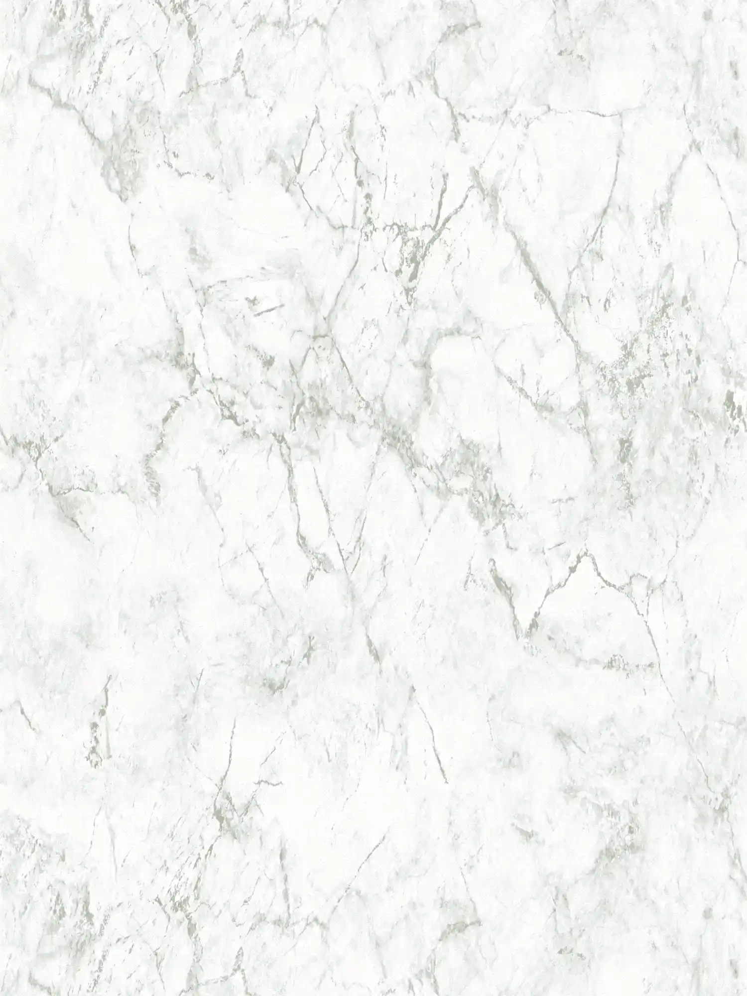         Vliestapete mit feiner Marmoroptik – Weiß, Grün-Grau
    