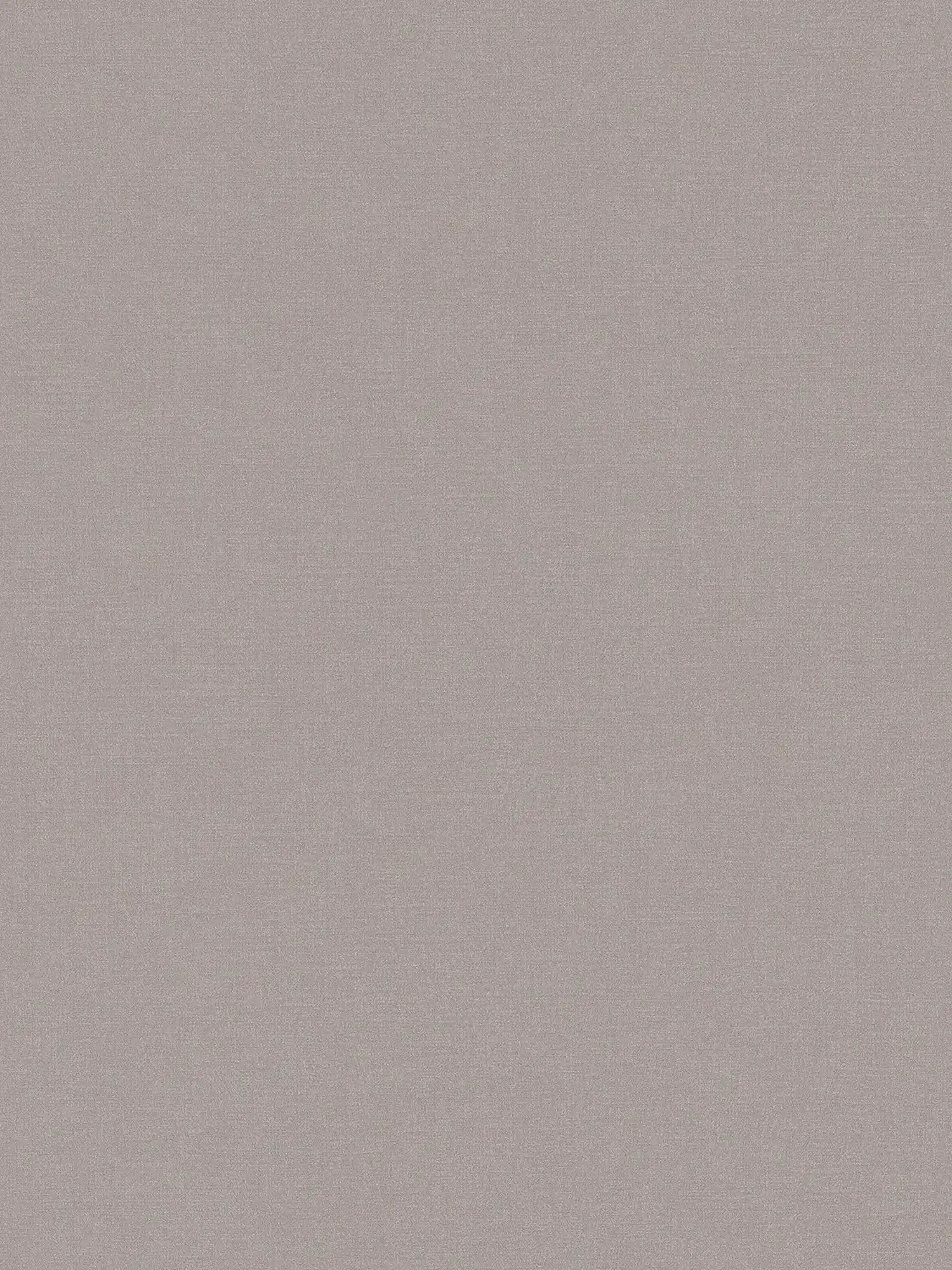         Unitapete mit Betonstruktur Optik – Grau
    