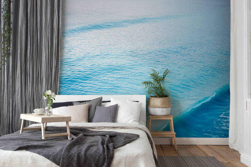 bettzimmer, wandtapete, meerblick, posterwand, pflanze