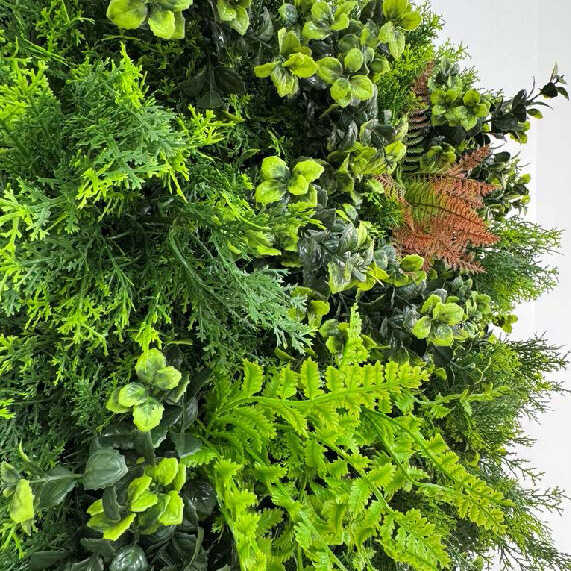 pflanzen, künstlicher grün, laubgrün, pflanzenmix, deckpflanze