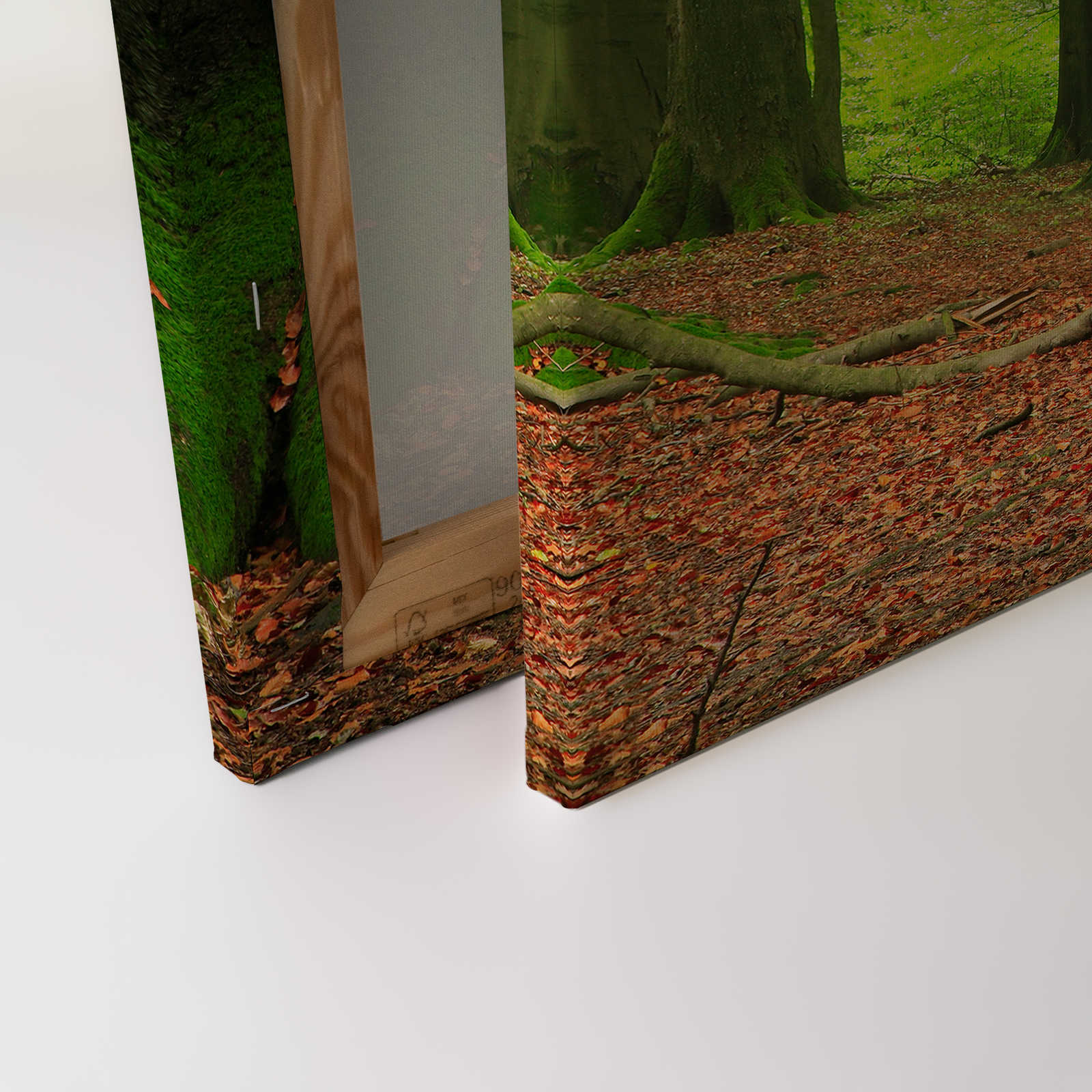             Natur Leinwandbild Wald mit Moosbäumen – 0,90 m x 0,60 m
        