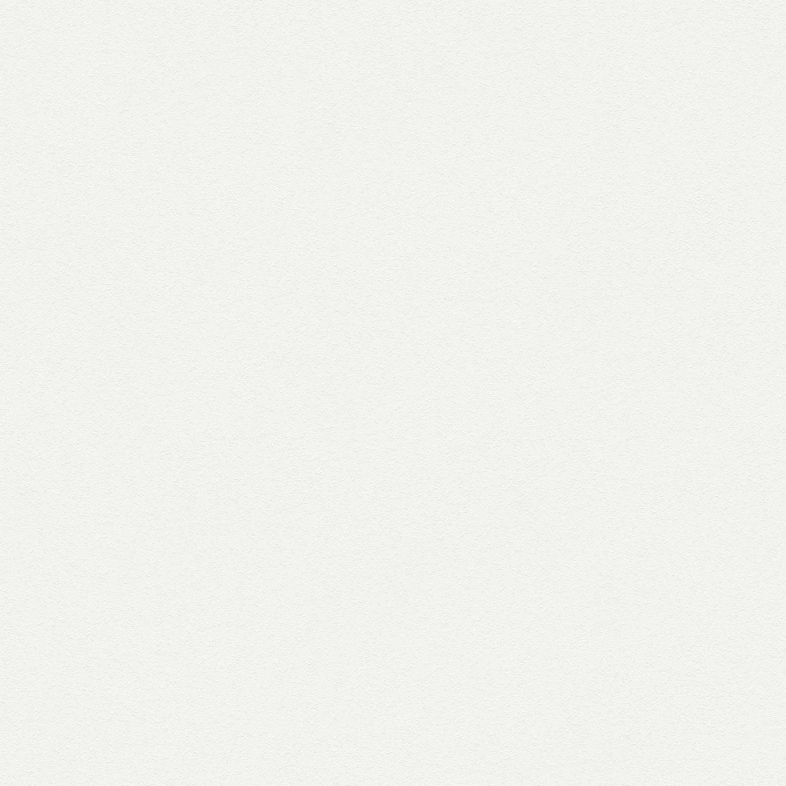         Überstreichbare Vliestapete in feiner Raufaseroptik doppeltbreit – Weiß
    