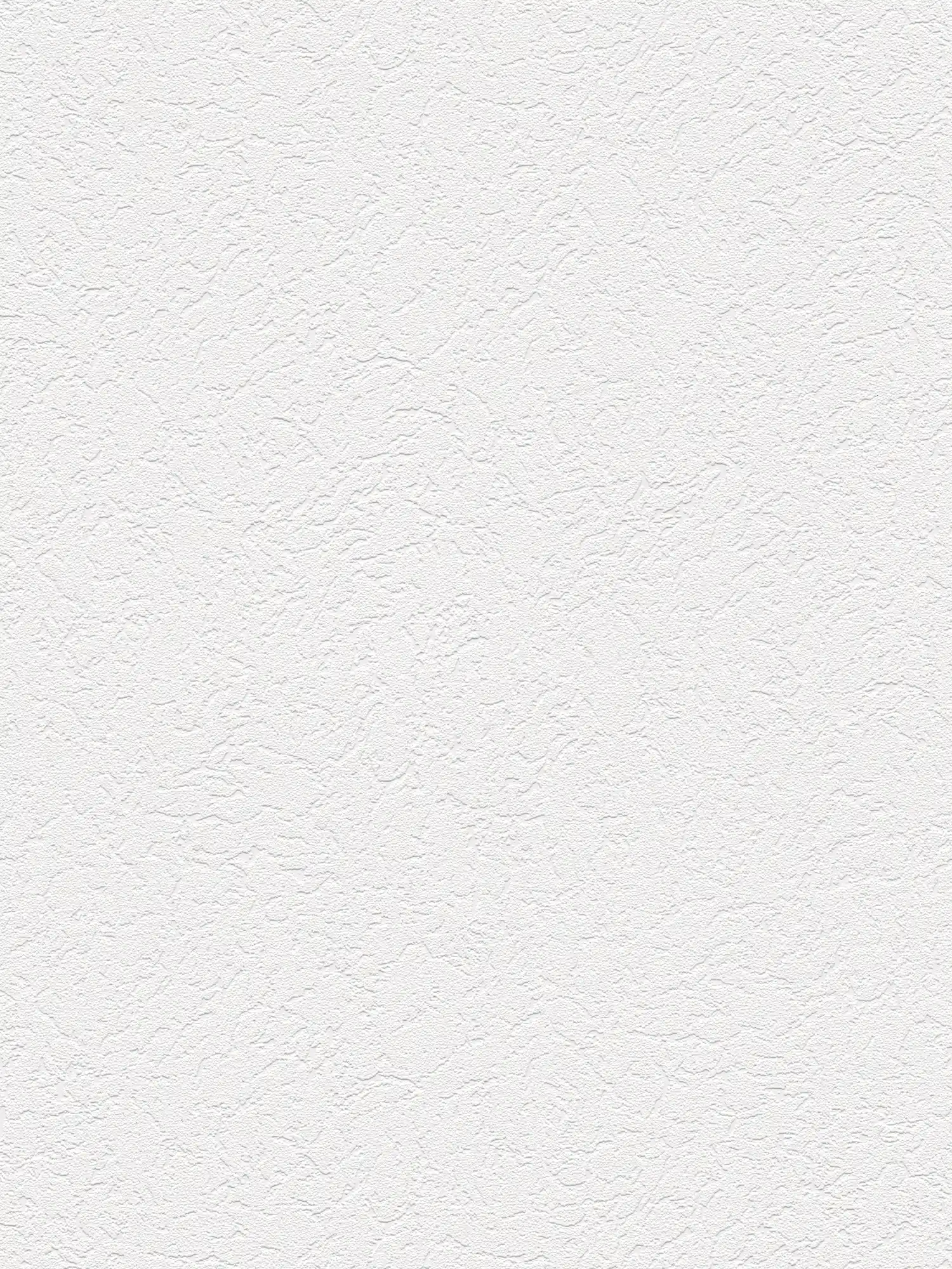         Wallpaper in roughcast look with dimensional structure - white
    