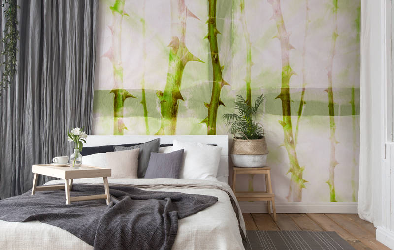 Drinnen, Innenarchitektur, Inneneinrichtung, Kissen, Pflanze