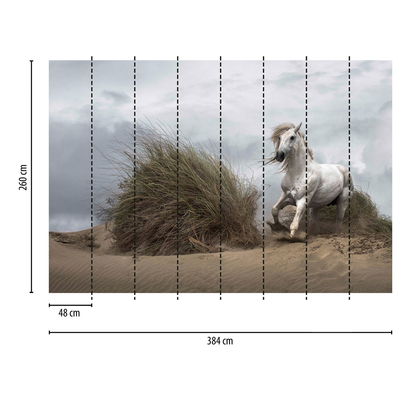             Fototapete Wildpferd am Strand – Weiß, Beige, Grau
        