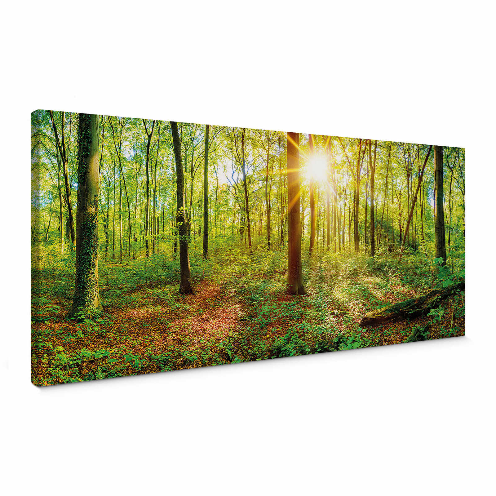         Tableau sur toile Au milieu de la forêt au soleil - 1,00 m x 0,40 m
    