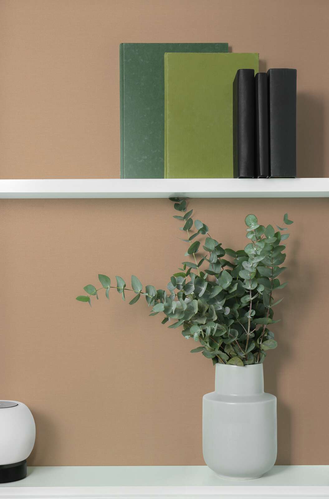 Pflanze, Mobiliar, Regal, Bücherschrank